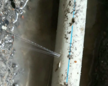 大足卫生间测漏水多少钱