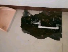 大足卫生间测漏水多少钱